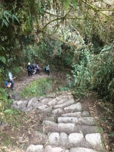 22366787 1471606439614044 7732667168794531460 n Atlas Introspective