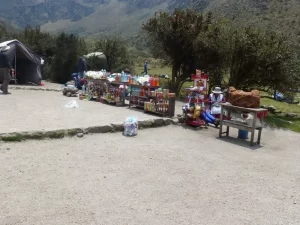 Drinks stand Atlas Introspective