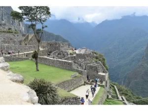 MP 9 Atlas Introspective