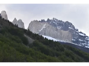 view of TDP Atlas Introspective