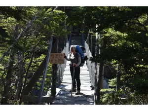 Fee crossing bridge Atlas Introspective