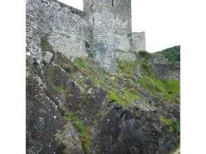 castle foundation Atlas Introspective