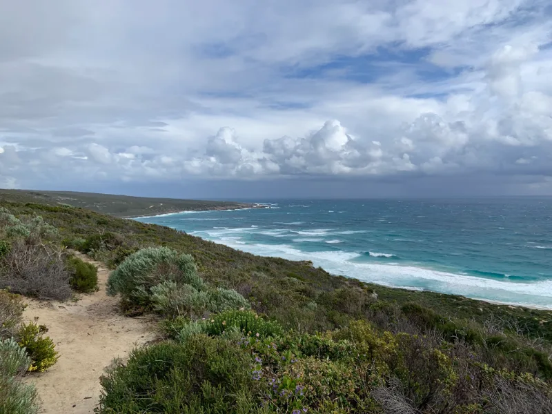 IMG 6873 Atlas Introspective