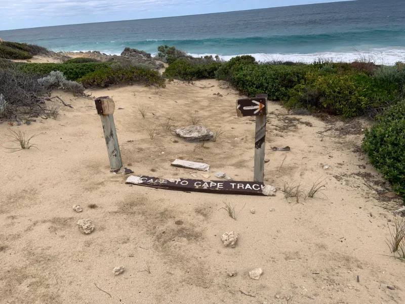 IMG 6905 Atlas Introspective