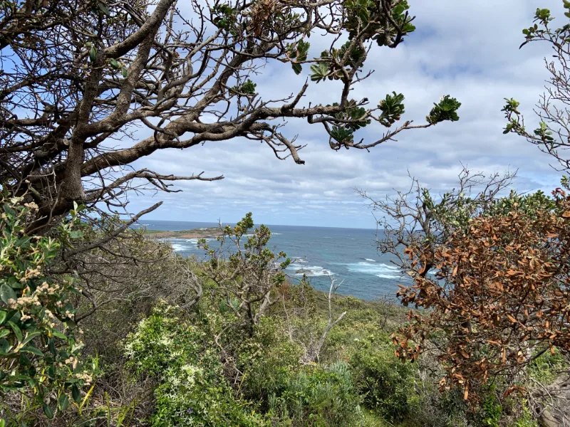 Cape to Cape Augusta, Western Australia