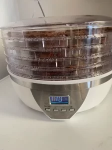 IMG 7279 1 Atlas Introspective