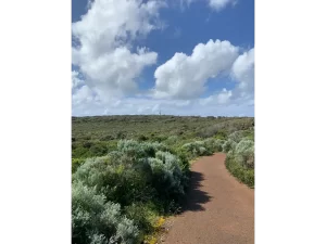 day 1 trail Atlas Introspective