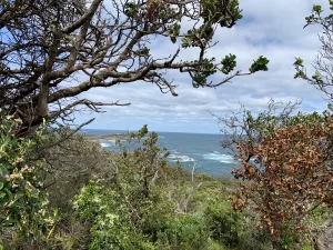 view of final lighthouse Atlas Introspective